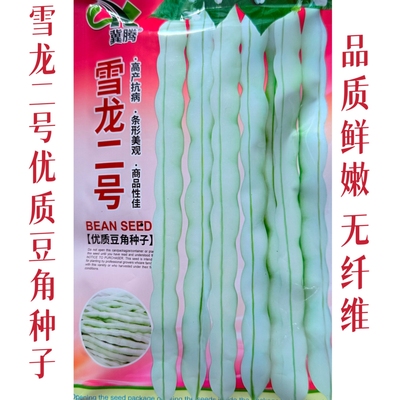 雪龙二号优质豆角种子无纤维丰产抗病四季豆种籽春秋播种梅豆种孑