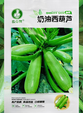 奶油西葫芦种籽耐高温抗病强占瓜种子角瓜西葫芦种子荨瓜苗菜种孑