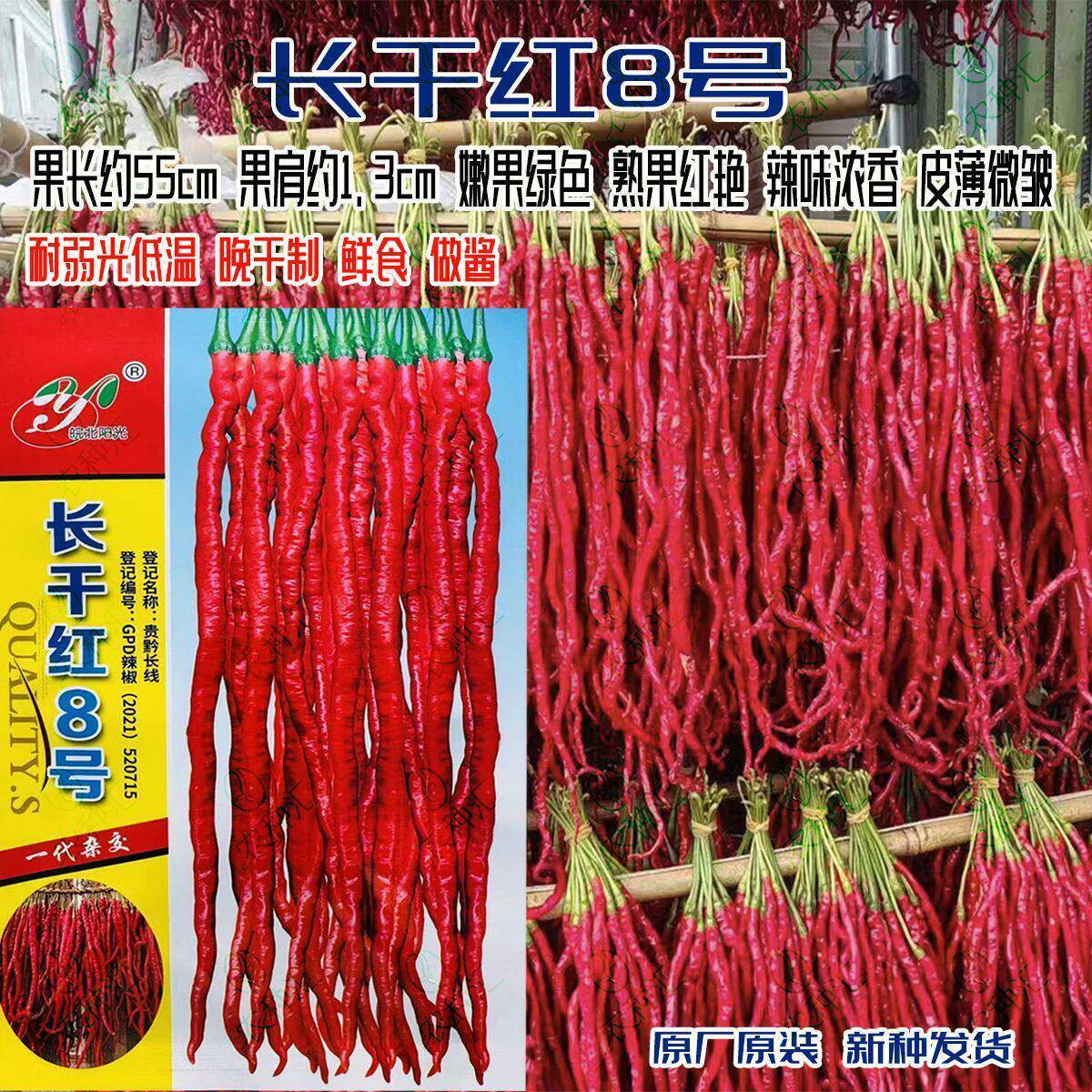 长干红8号鸡爪椒中早熟线椒品种软皮线椒辣味浓可鲜食干制做酱