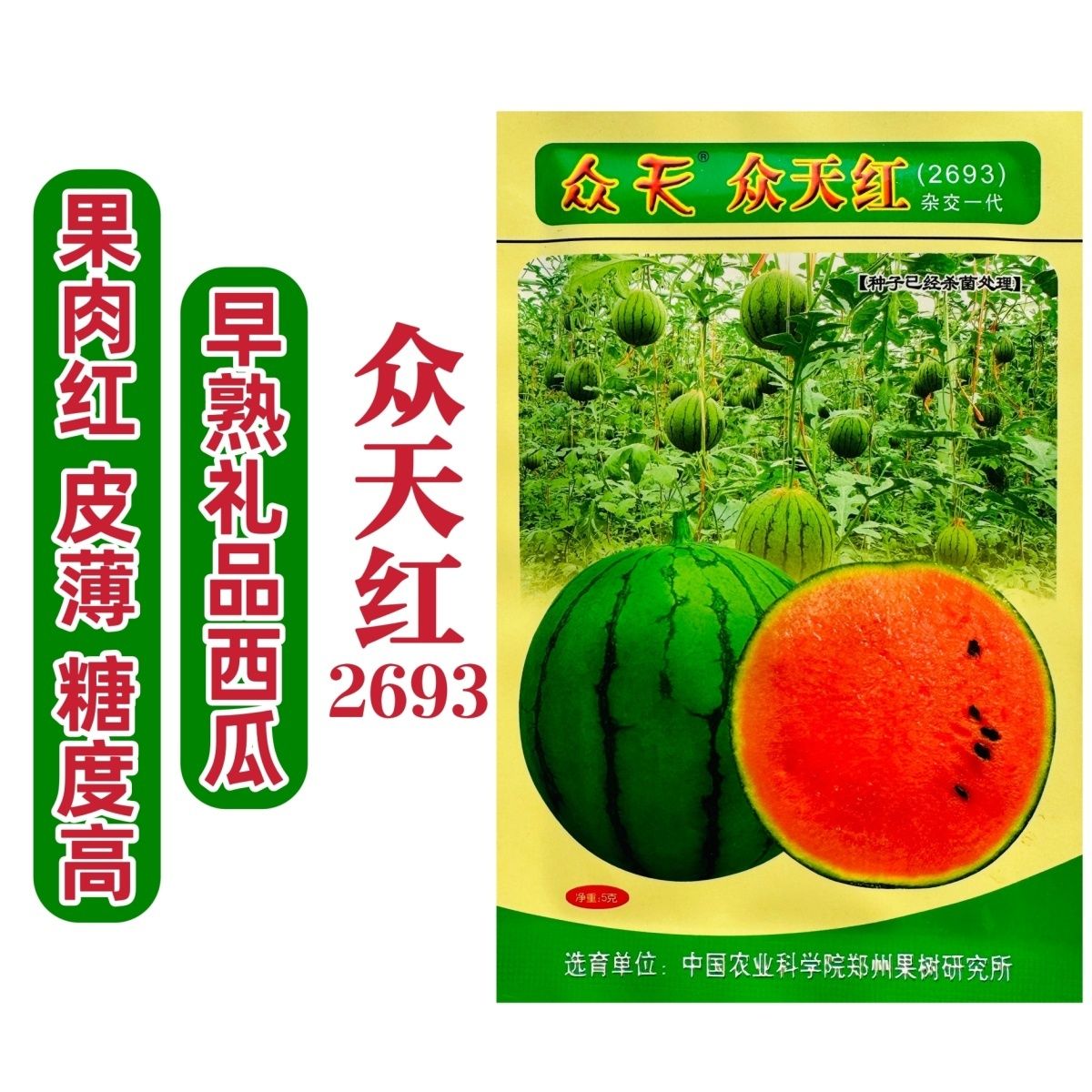 果树研究所西瓜种子众天红2693礼品西瓜种子特甜小果型西瓜果肉红