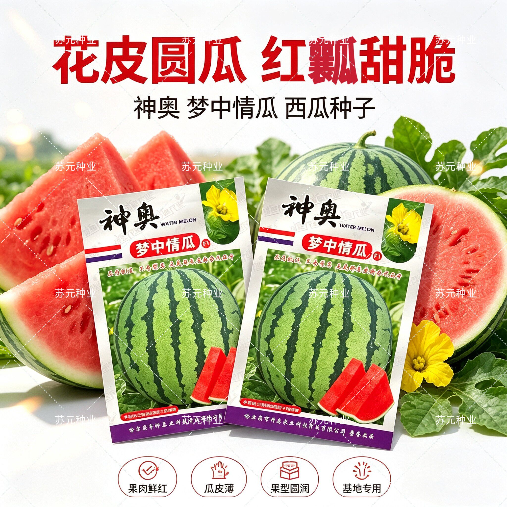 神奥梦中情瓜西瓜种子早中熟花皮美都圆形红心皮薄耐裂杂交种