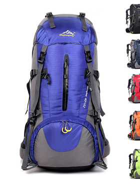 【天天特价】户外登山旅行双肩包男女运动45+5L大容量野营背包