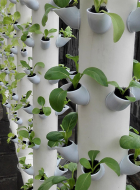 立柱定植杯蓝家庭管道气雾机培设备无土栽培蔬菜水培阳台种菜设备