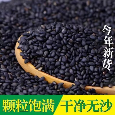 精选黑芝麻炒熟炒熟黑芝麻即食黑芝麻凉拌新货口感鲜家用商用烧烤