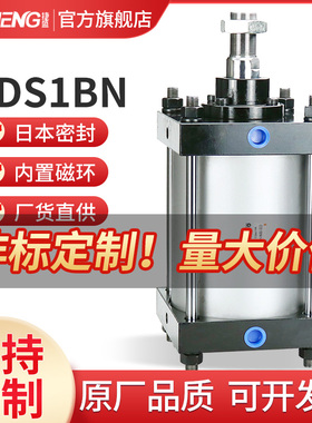 SMC气缸CDS1BN125 140 160 180-75-100-125-150/175/200-300CS1FN