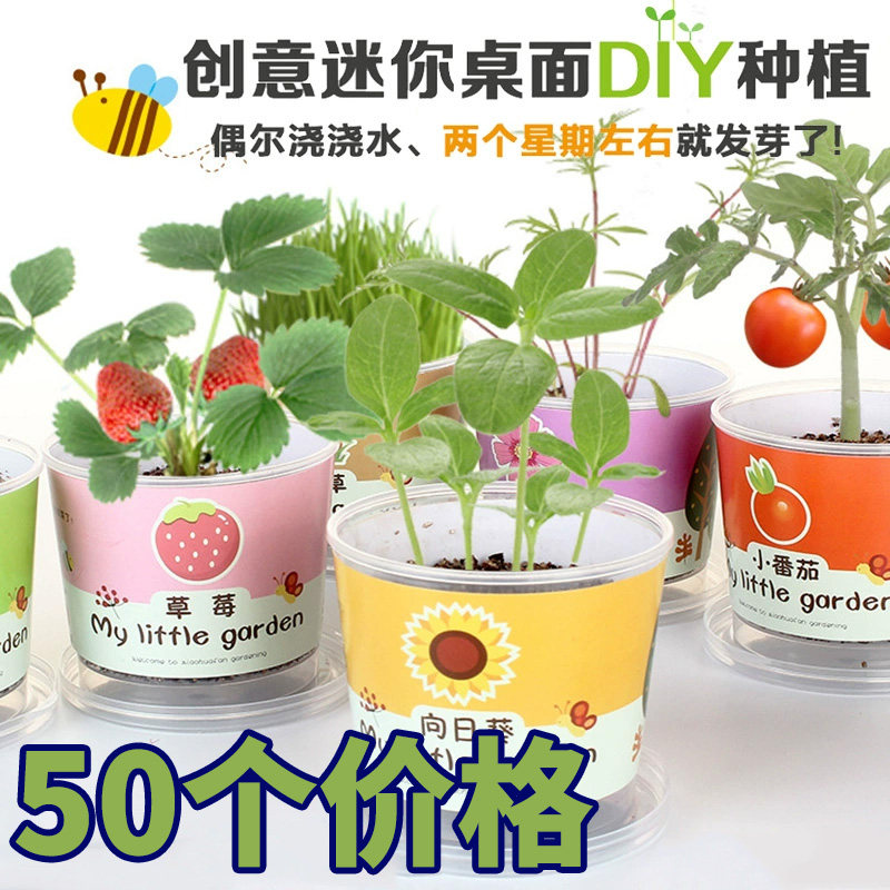 幼儿园六一儿童节创意植物小礼品生日分享全班小礼物赠送学生奖品
