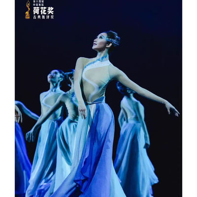 春晚稚水微澜同款荷花奖表演服