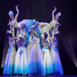 新款荷花奖民族舞羌族云上同款舞蹈服群舞演出服女艺考飘逸大裙摆