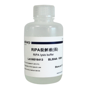 Biosharp RIPA裂解液 强 100ml BL504A 可用于常规的Western IP