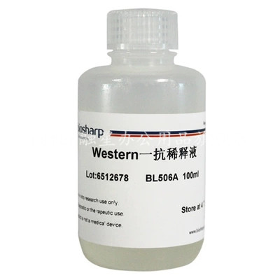 Biosharp BL506A Western一抗稀释液 100ml一抗的稀释和配制-封面