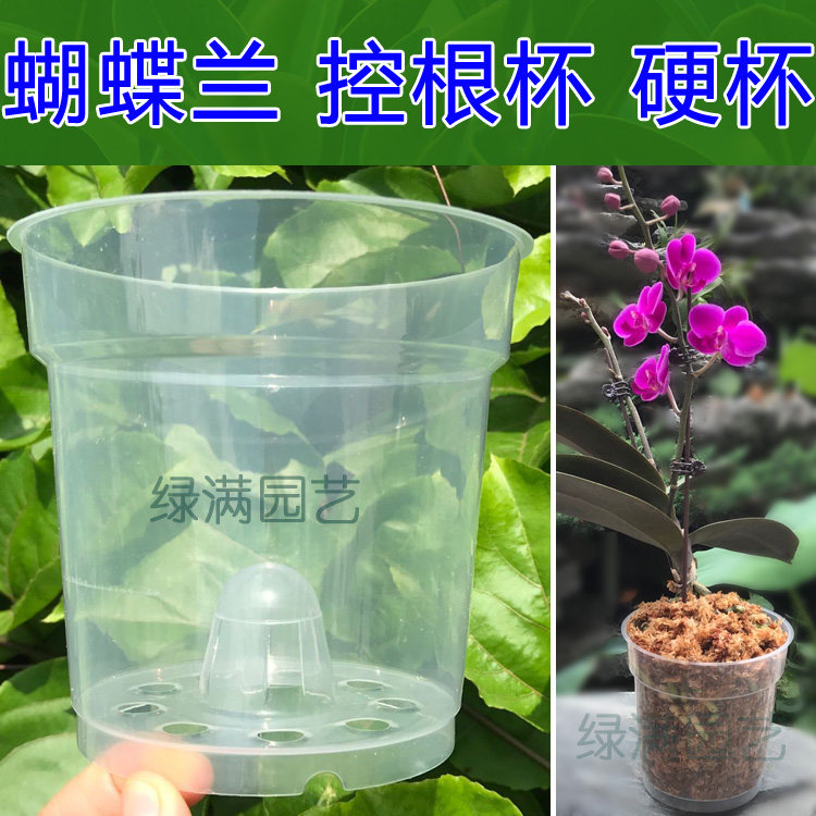 育苗杯蝴蝶兰营养透明花盆塑料图片