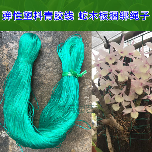 蛇木板捆绑板植塑料弹性青胶线