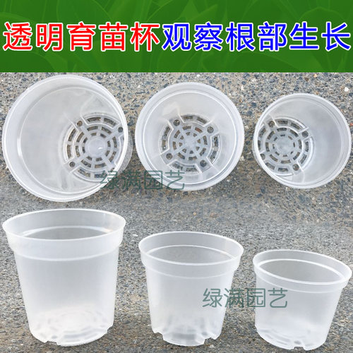 透明塑料花盆栽花石斛走茎根育苗