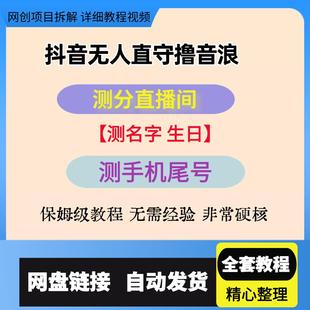 无人直播技术实战教程抖音撸音浪最新玩法名字生日尾号打分测分