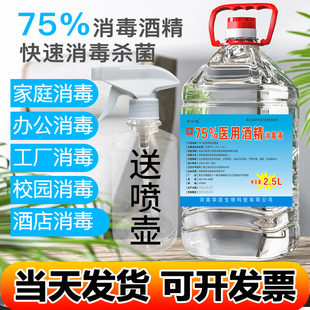 费 免邮 室内进门护杀菌75%乙醇现货 75度酒精消毒液喷雾免洗家用桶装