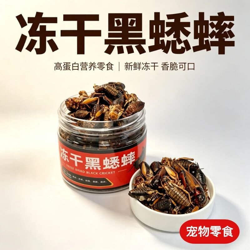 冻干黑蟋蟀油葫芦非活体包邮鸟食鼠粮