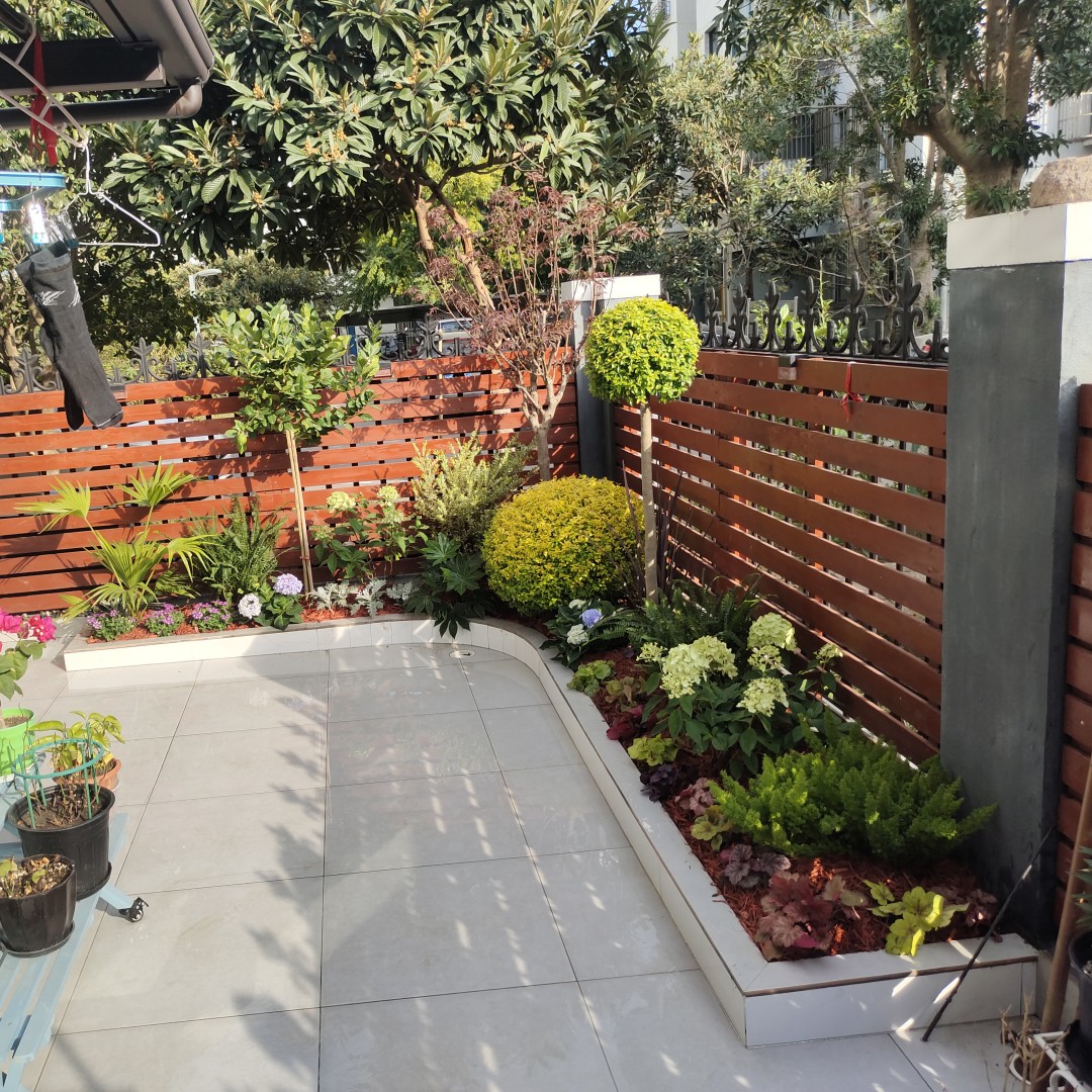 地被花镜植物庭院耐热耐晒耐寒