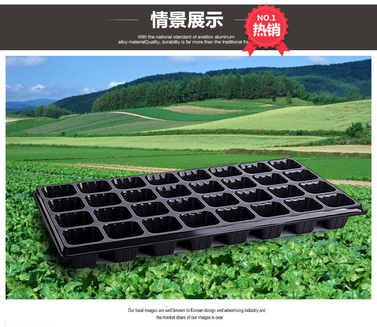蔬菜多肉营养钵育苗盘