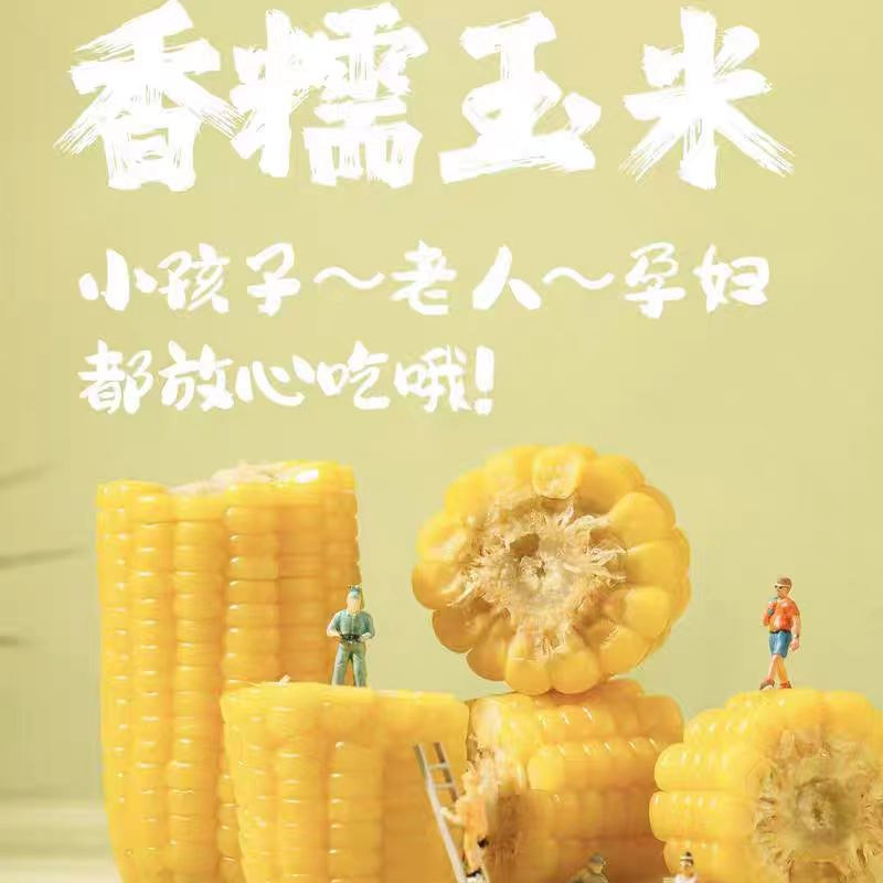 25年10支装新鲜巴彦淖尔香糯玉米