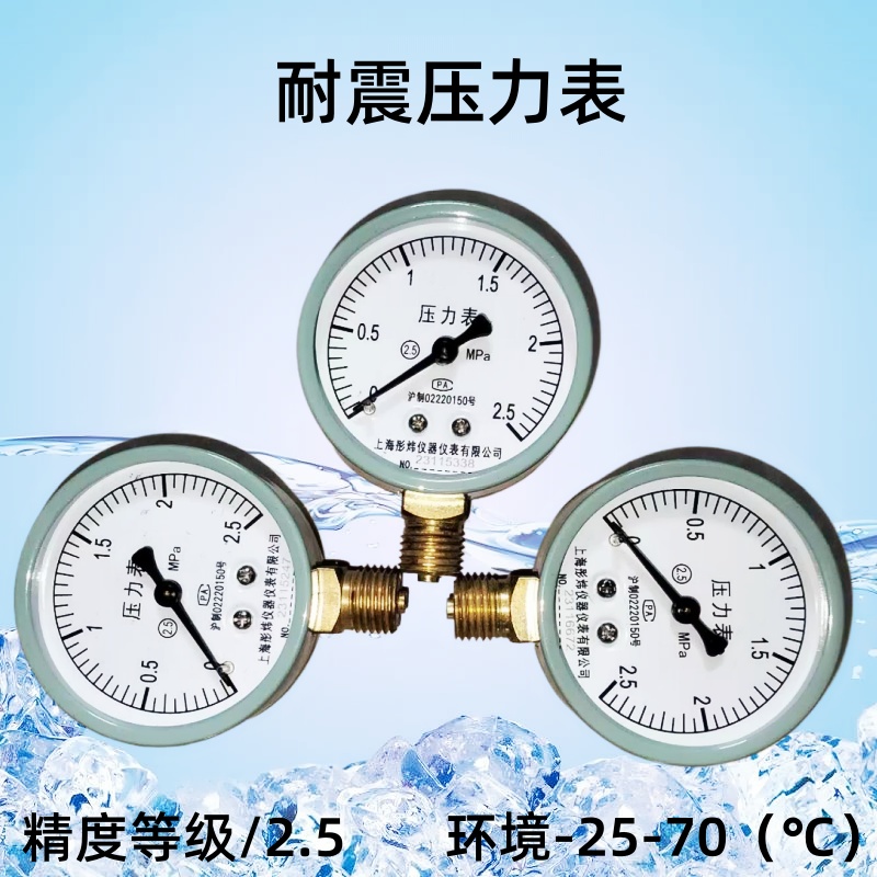湿式报警阀压力表Y60雨淋阀预作用装置管道2.5MPa径向 试压水压表