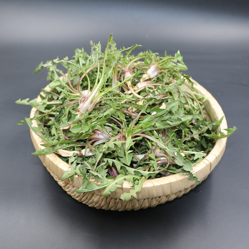 长白山野生婆婆丁鲜野菜新鲜现挖蒲公英菜春季蘸酱菜500g