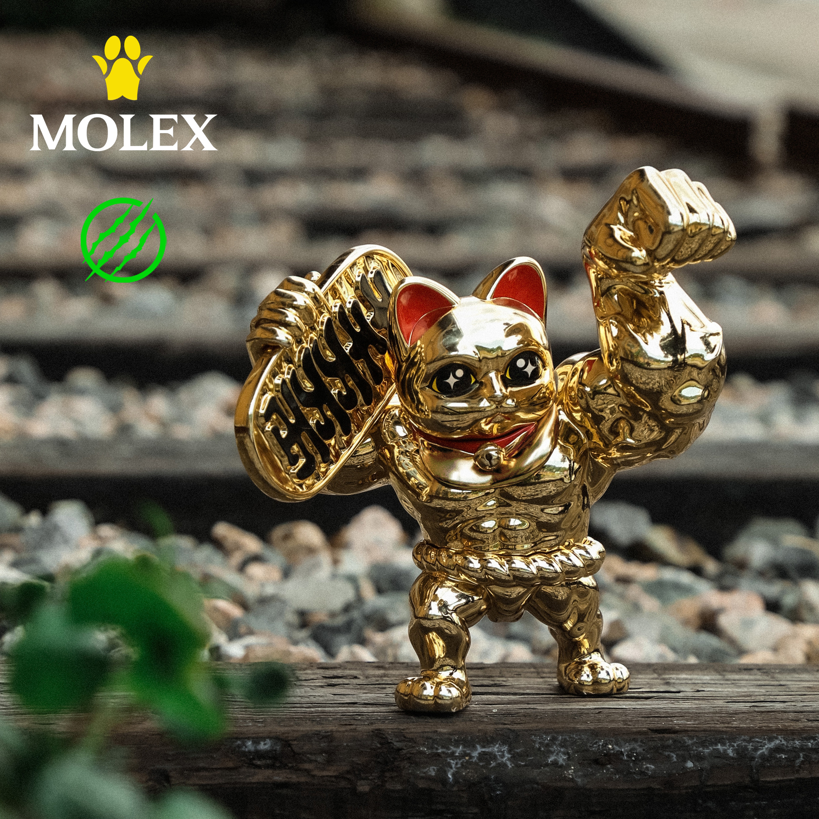 SENZII千記商行·猫力士金色版