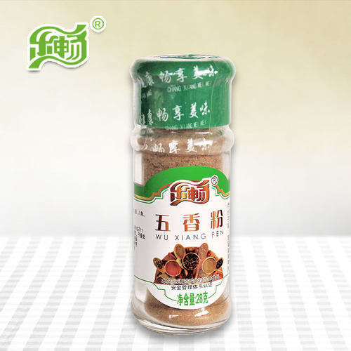 乐畅瓶装28克烧烤油炸腌料五香粉