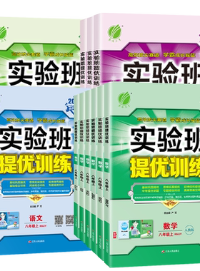 实验班提优训练八年级上下册任选