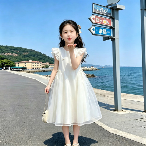女童夏季洋气飞袖礼服蓬蓬公主裙