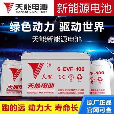 天能新能源电池6-EVF-100Ah120Ah四轮电动汽车巡逻车蓄电瓶48V60V