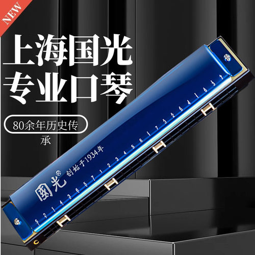 上海国光口琴重音复音
