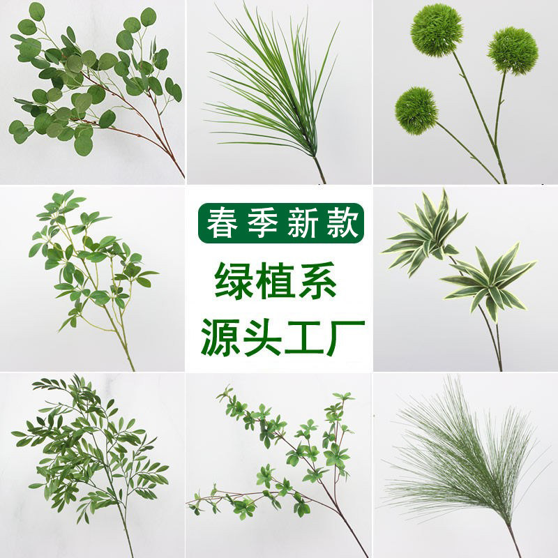 绿植墙婚庆橄榄枝金钱叶森系花材