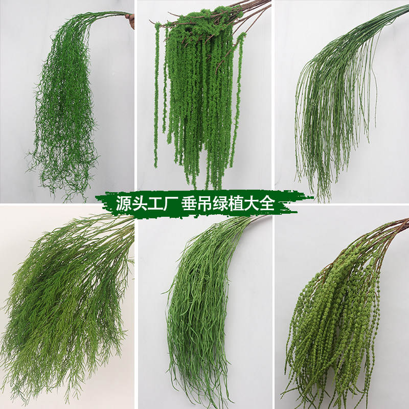 10枝装仿真绿植垂吊婚礼森系吊顶婚庆花材路引花芦荀草花排背景花,家居饰品,仿真花/假花,淘宝优惠券,粉丝福利购,淘宝优惠卷