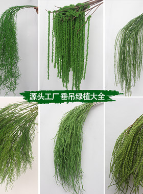 森系花艺莫奈风垂吊绿植背景挂花