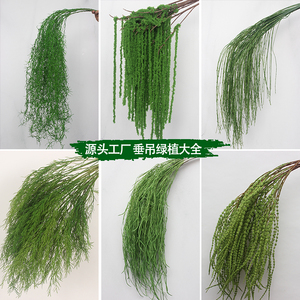 枝仿真绿植垂吊婚礼森系吊顶婚庆材引芦荀草背景