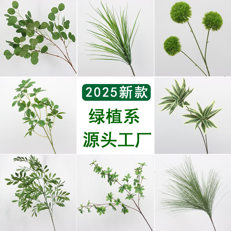 绿植墙婚庆橄榄枝金钱叶森系花材