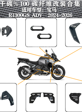 适用宝马R1300GSADV 2024-2026年改装碳纤维保护车身侧板油箱外壳