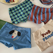 男童四角内裤 4条装 A类纯棉内裤 男宝宝不夹PP平角内裤 秋季 儿童韩版