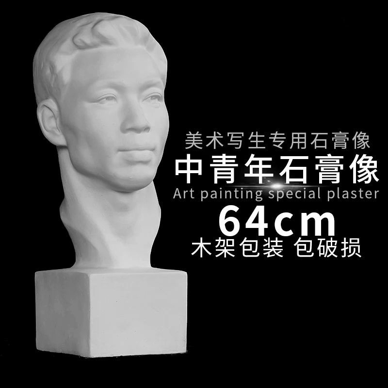 写生中青年 石膏人头像 美术教具雕塑摆件素描模型美术用品石膏像