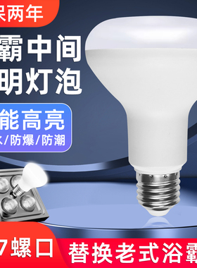 led浴霸中间照明灯泡12W替换40W家用螺口暖光防水防爆老式卫浴灯