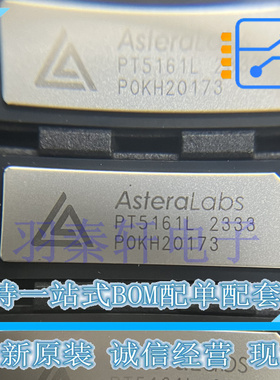PT5161L PT5161LRS PCI-E 5.0接口芯片 贴片 FCCSP-354(8.9x22.8)