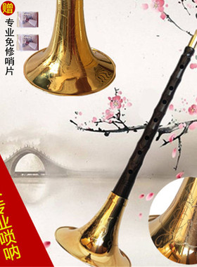 专业演奏精品乌木唢呐乐器大GA降BCDE小F调喇叭大中小号初学者