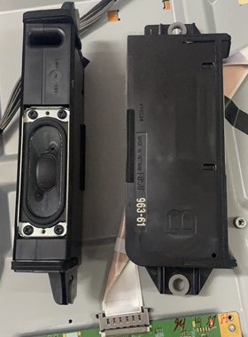 原装索尼KD-55X7066D 55X7000D KD-49X7000D喇叭1-858-963-51/61