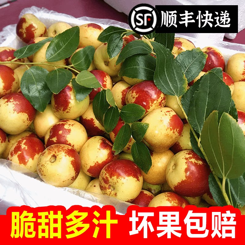 正宗山西冬枣头茬脆枣产地直发鲜枣