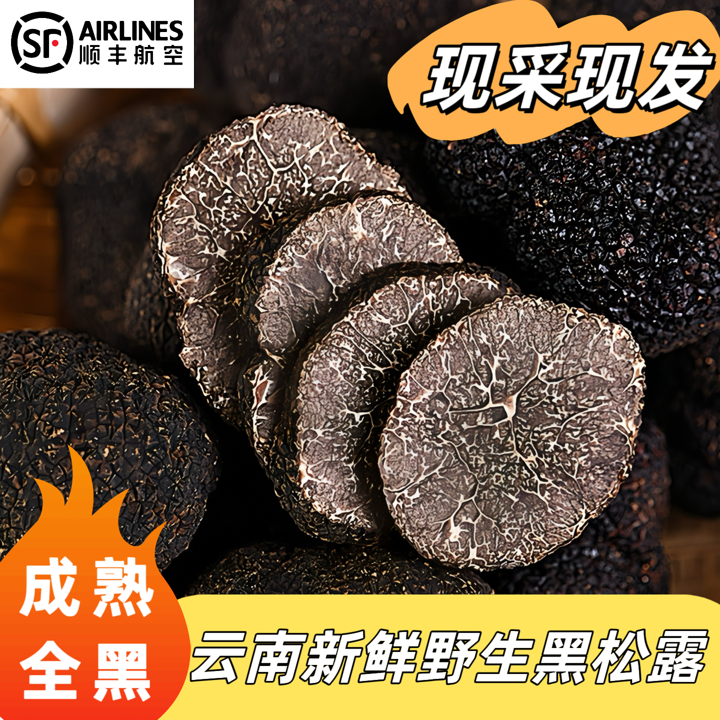 云南刺身级全黑成熟野生黑松露菌