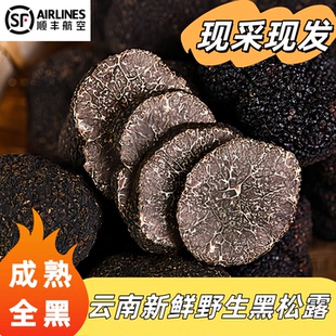 云南刺身级现挖成熟全黑新鲜黑松露野山菌当季特产新鲜松露蘑菇菌