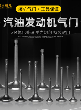 汽油发电机水泵微耕机配件152/168F170/177F188/190F192F进排气门