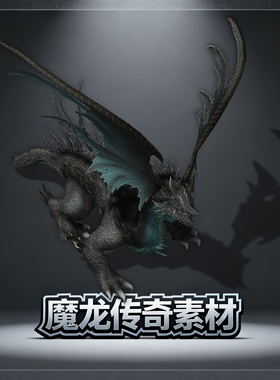 传奇怪物素材 黑色魔龙 高清大型BOSS怪物 8方向PNG格式 源文件