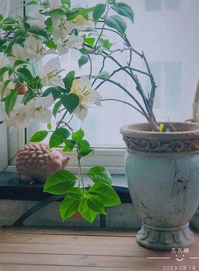 地中海风欧式做旧粗陶高脚杯花器