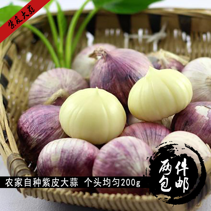2份包邮独蒜四川农家自种峨眉山紫皮大蒜独头入药200g